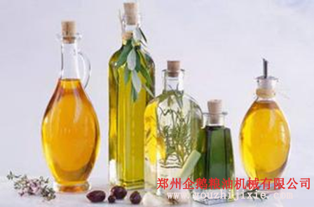 油脂設備之苦蕎籽油提取設備 苦蕎籽油營養價值高(圖2) 油脂設備之苦蕎籽油提取設備 苦蕎籽油營養價值高(圖2)
