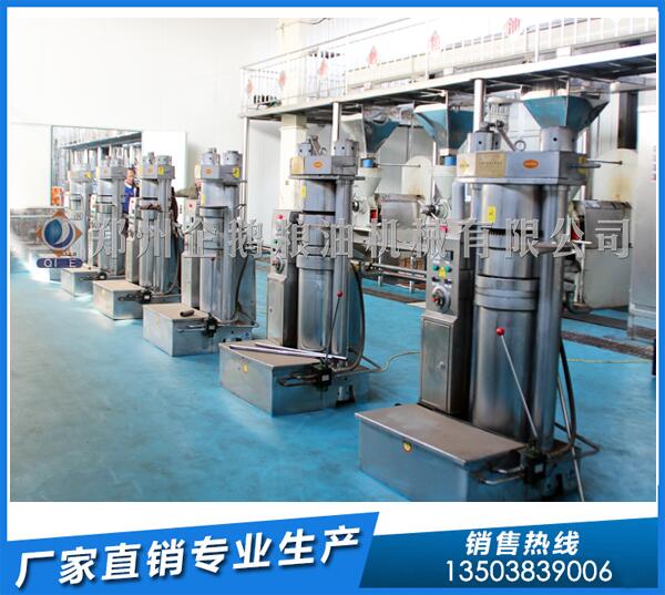 核桃油榨油機生產線,企鵝品牌鋒芒盡顯(圖1) 核桃榨油機