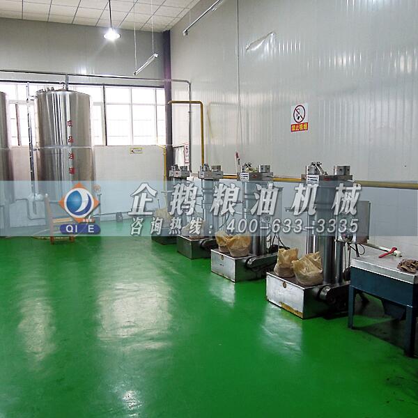核桃油壓榨生產(chǎn)線,企鵝榨油機好評如潮(圖1) 核桃油加工設備