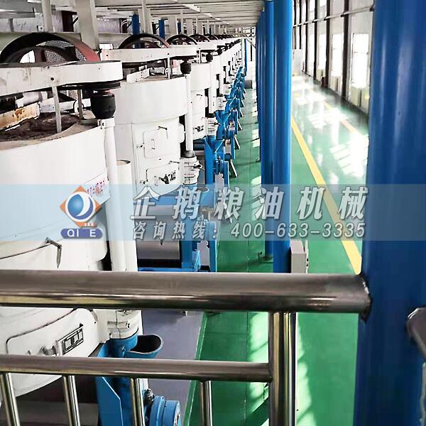 胡麻油加工設備,企鵝品牌不負重望(圖1) 胡麻油加工設備