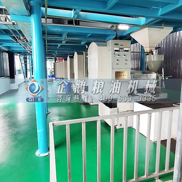 茶籽油加工成套設(shè)備,鄭州企鵝嶄露鋒芒(圖1) 茶籽油加工設(shè)備